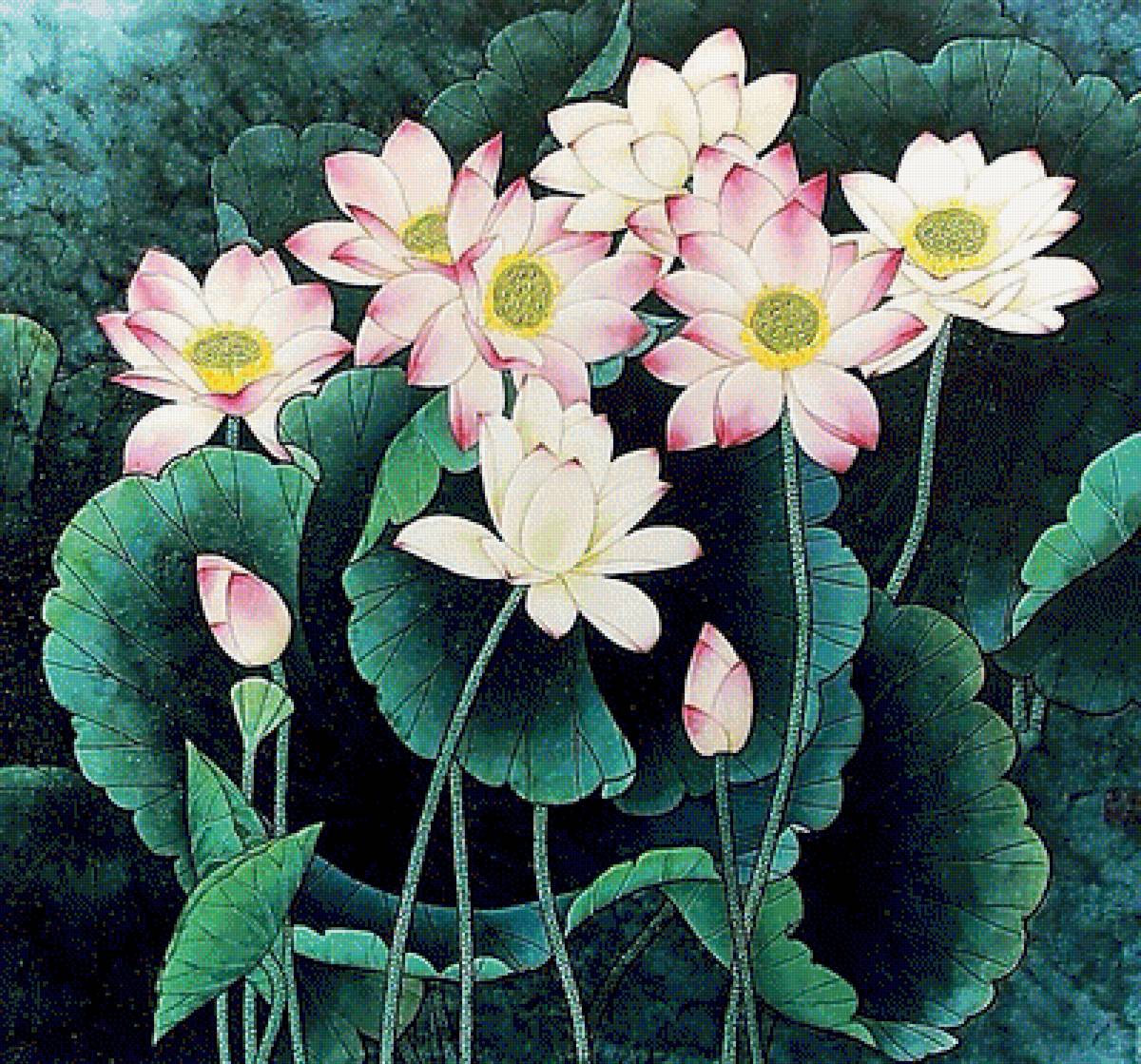 Лотосы. - лотосы, живопись. - предпросмотр