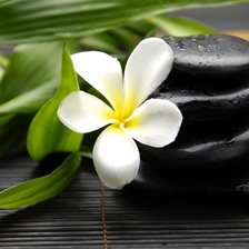 Схема вышивки «цветок»