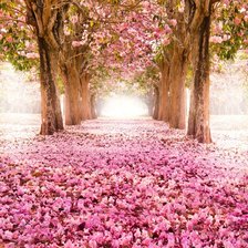 Схема вышивки «цветочная аллея»