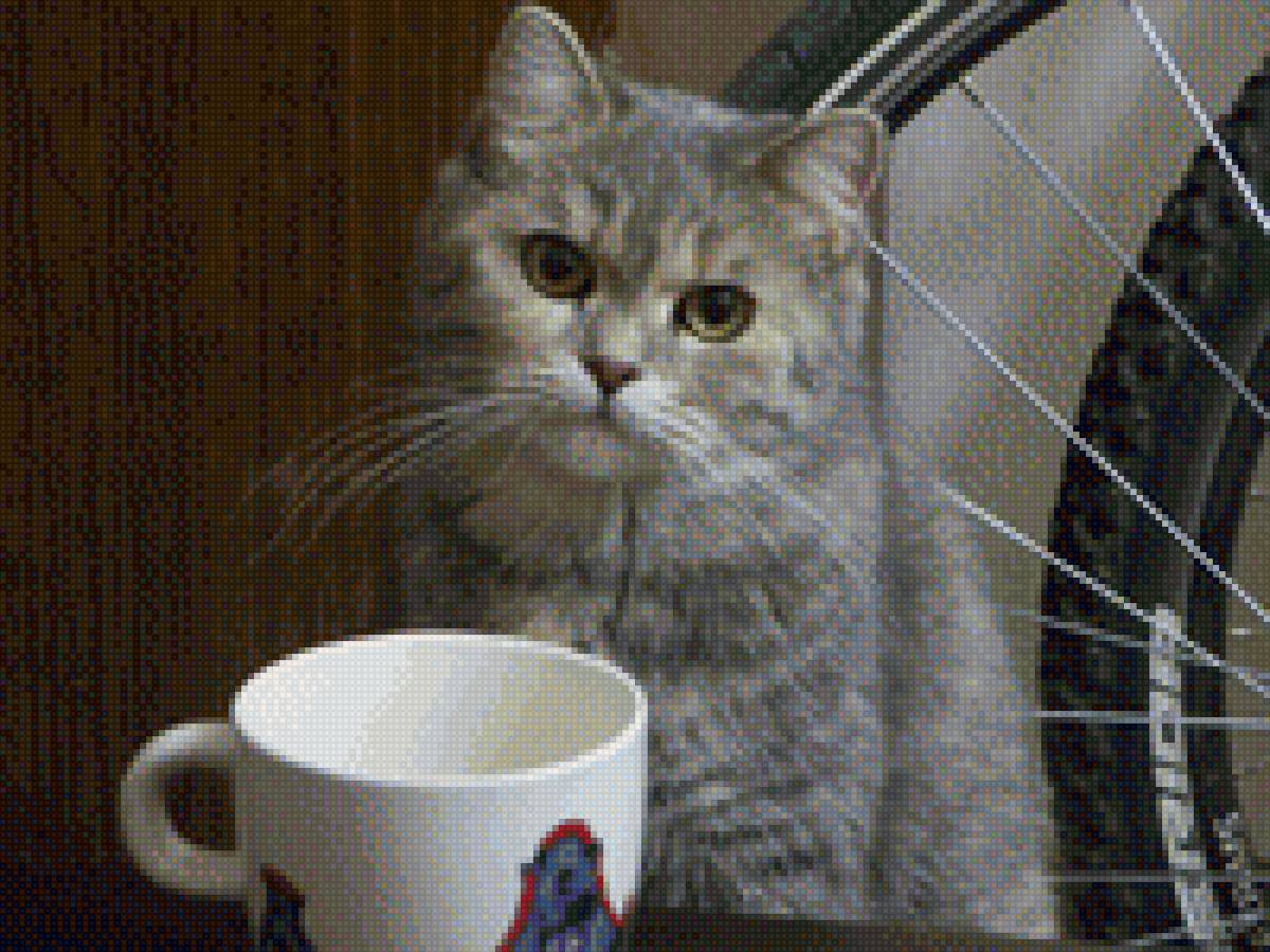 Пуся - #кошка - предпросмотр