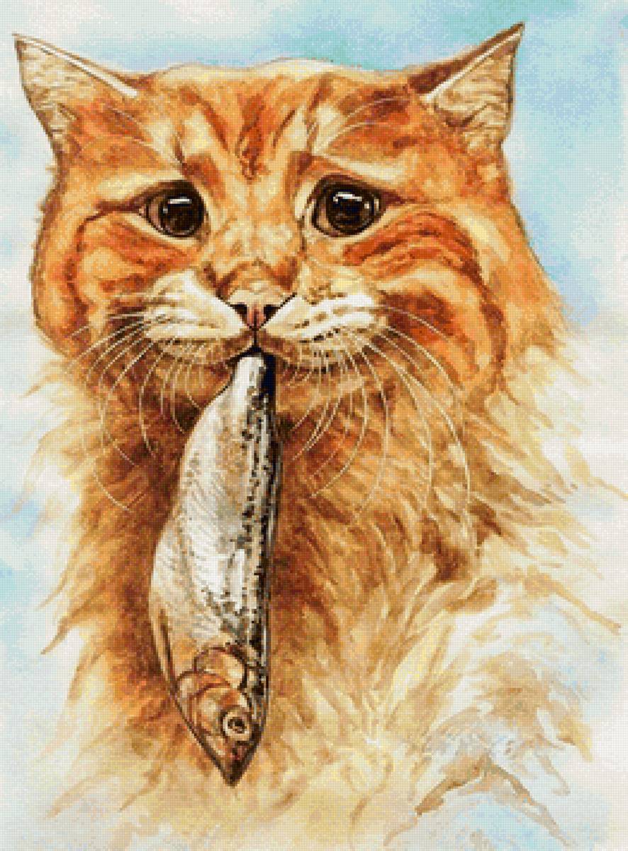 Рыбка моя - животные, рыба, кот - предпросмотр