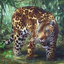 Схема вышивки «ягуар»