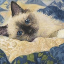 Схема вышивки «котёнок»