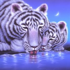 Схема вышивки «мир животных»