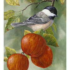 Схема вышивки «Серия "Птицы"»