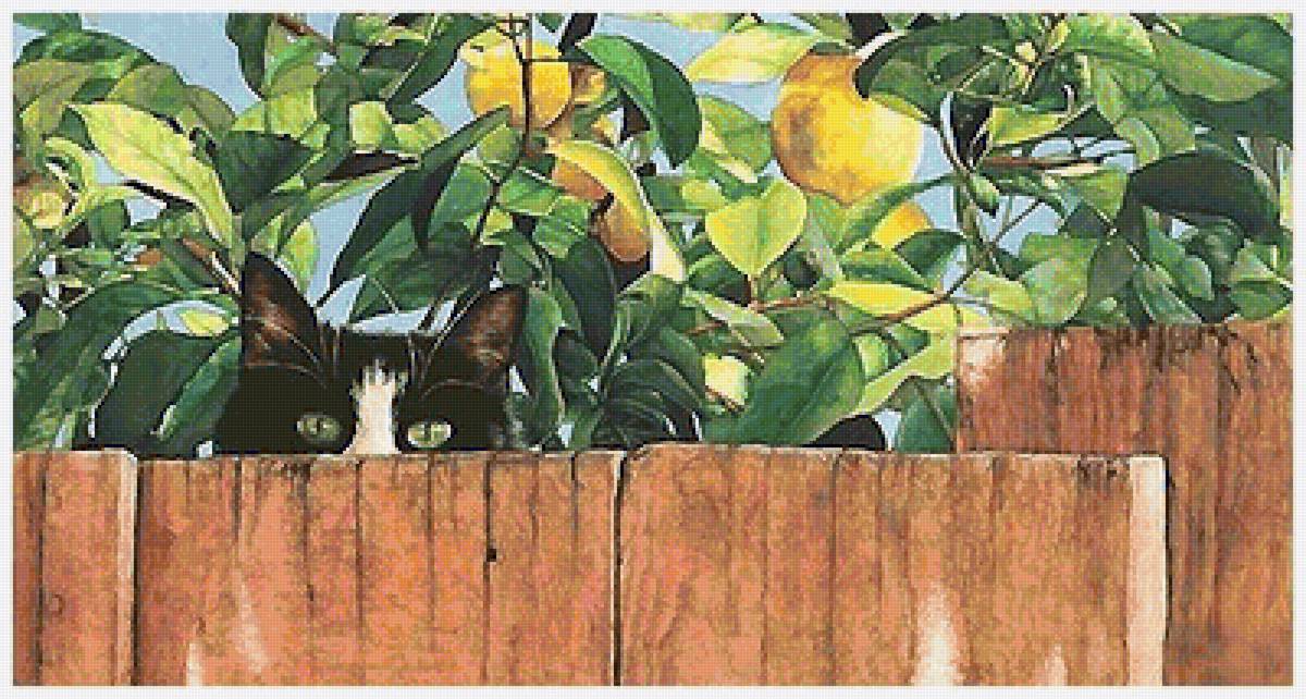 кот в лимонах - кот - предпросмотр