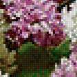 Предпросмотр схемы вышивки «Серия "Сирень"» (№1757995)