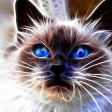 Схема вышивки «кот»