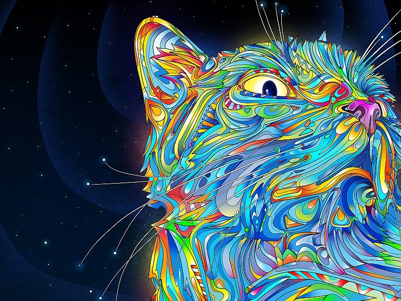 кот - кот - оригинал