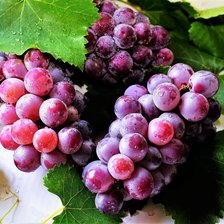 Схема вышивки «виноград»