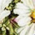 Предпросмотр схемы вышивки «kytica» (№1759022)