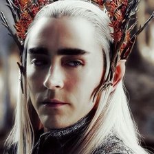 Схема вышивки «Трандуил»