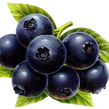 Схема вышивки «черника 2»