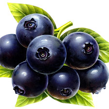 Схема вышивки «черника 3»