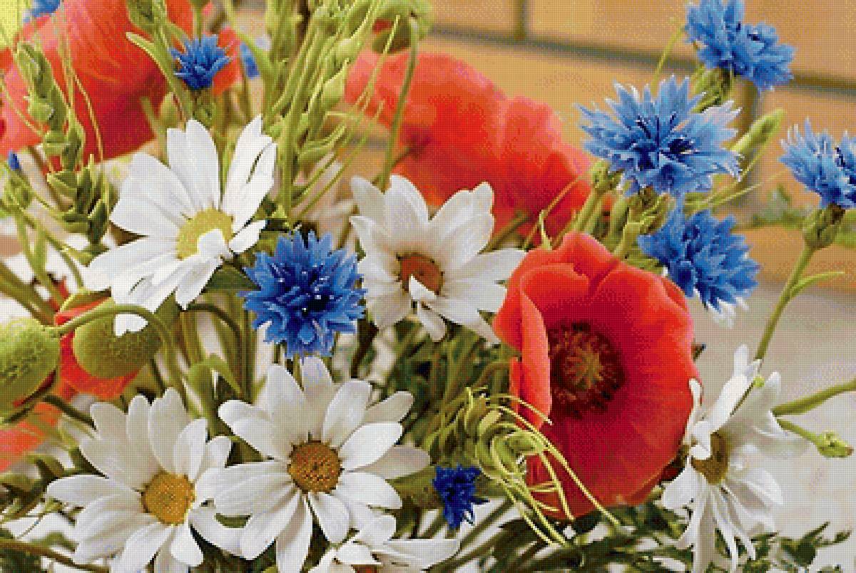 ромашки, маки, васильки - фото, природа, цветы - предпросмотр