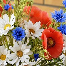 Схема вышивки «ромашки, маки, васильки»