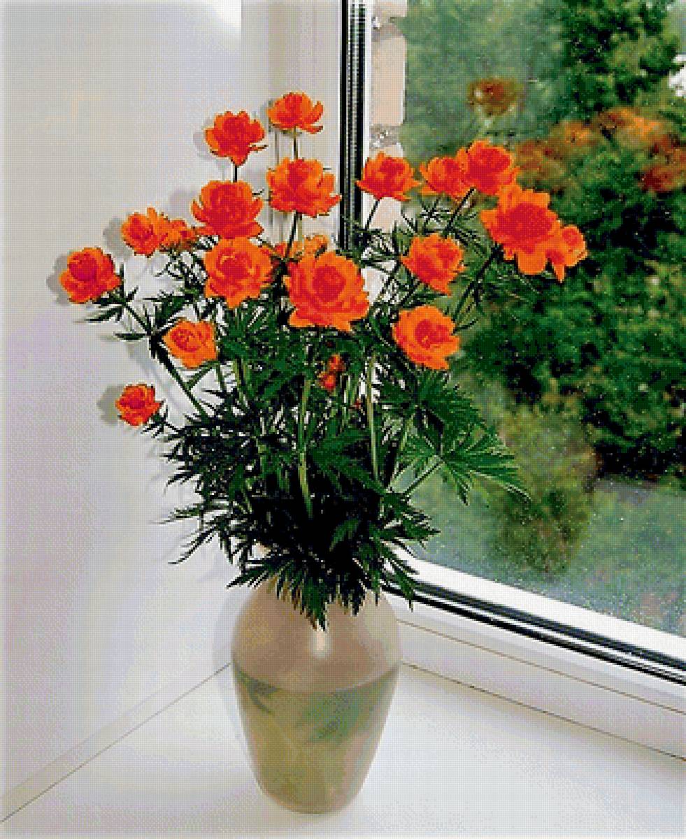 красные розы у окна - цветы, розы, фото, букет - предпросмотр