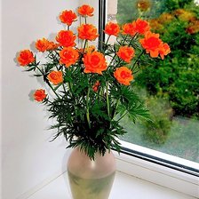 Схема вышивки «красные розы у окна»