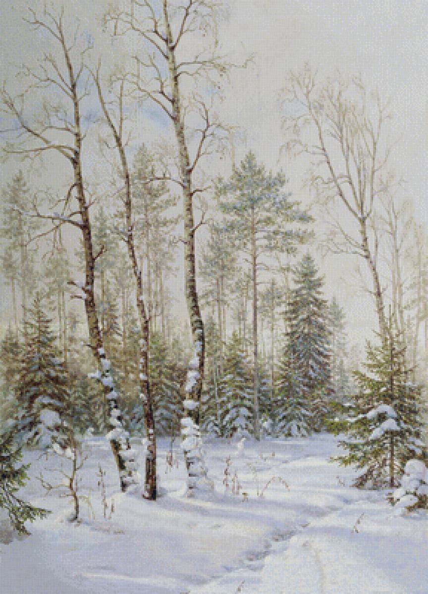 зимний лес - зима, тропинка, лес - предпросмотр