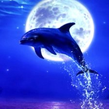 Схема вышивки «дельфин»