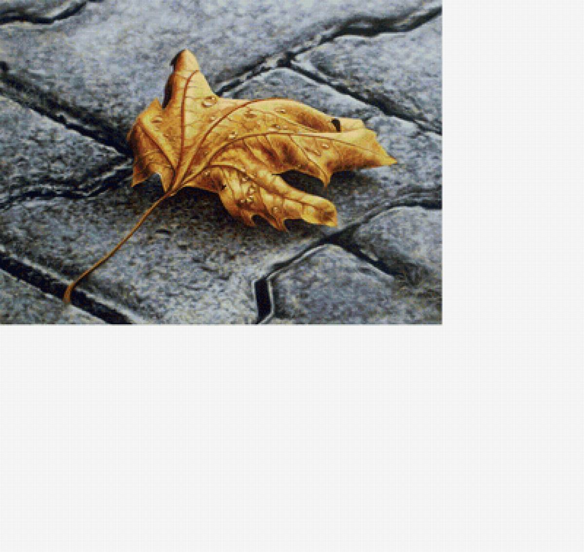 Осень - лист, лист на мостовой - предпросмотр