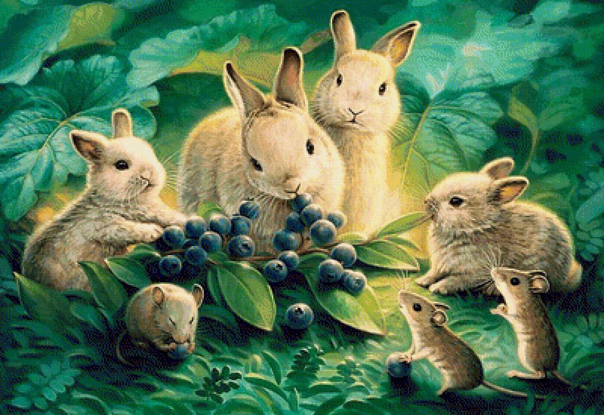 Blueberries - предпросмотр