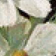 Предпросмотр схемы вышивки «Цветы» (№1760312)