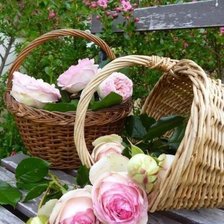 Схема вышивки «Красота цветов»