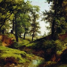 овраг в лесу