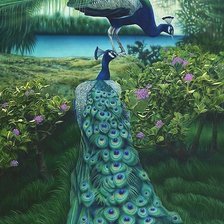 Схема вышивки «павлины»