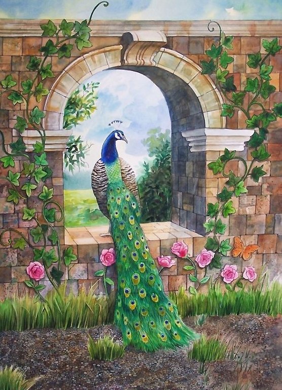 павлин - мир животных - оригинал