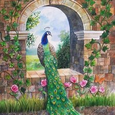 Схема вышивки «павлин»