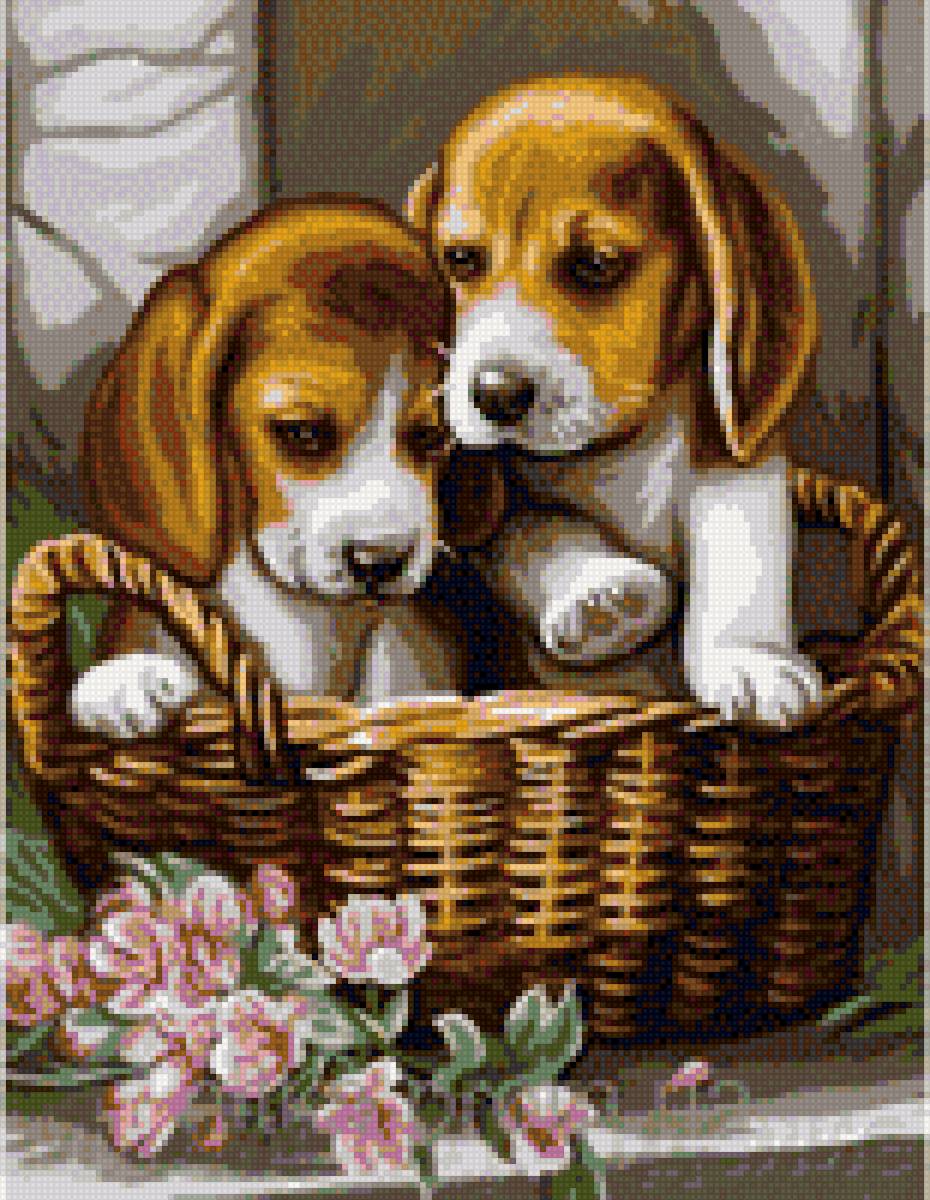 Песики - предпросмотр