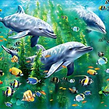 Схема вышивки «дныельфи»