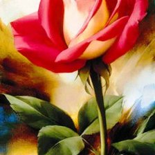 Схема вышивки «роза чайное»