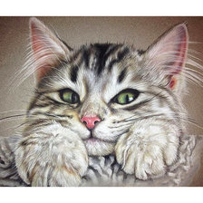 Схема вышивки «Серия "Коты".»