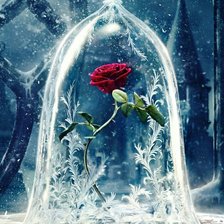 Схема вышивки «Роза»