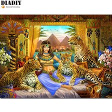 леопарды и девушка