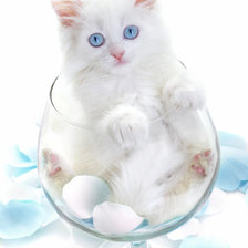 Схема вышивки «котёнок»