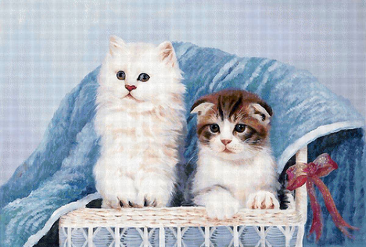 котята - котята - предпросмотр