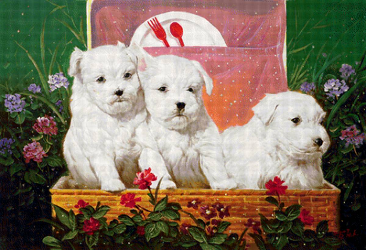 кутята - собаки - предпросмотр