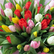 Схема вышивки «тюльпаны»