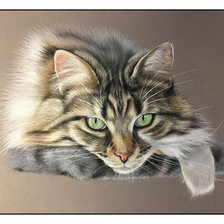 Схема вышивки «Серия "Коты".»