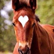 Схема вышивки «412»