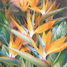 Схема вышивки «цветы любви»