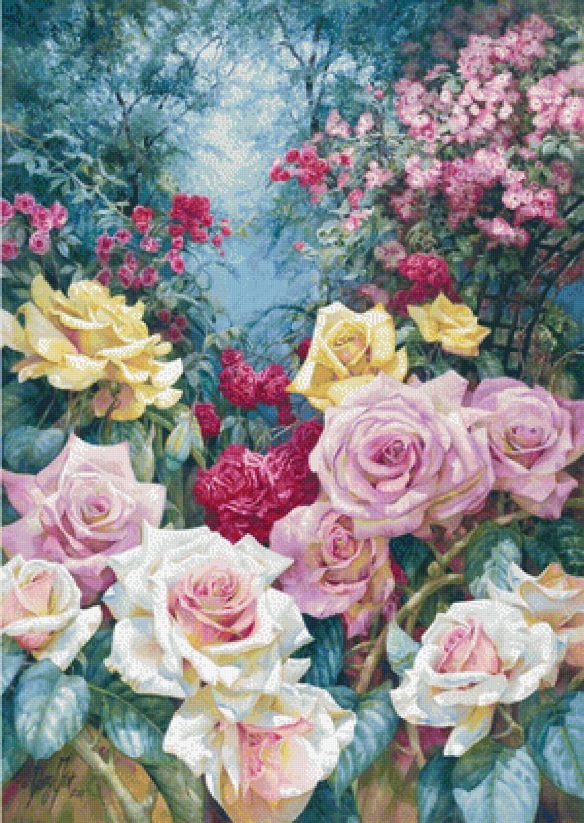 розы в саду - предпросмотр