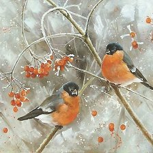 Схема вышивки «№1763685»