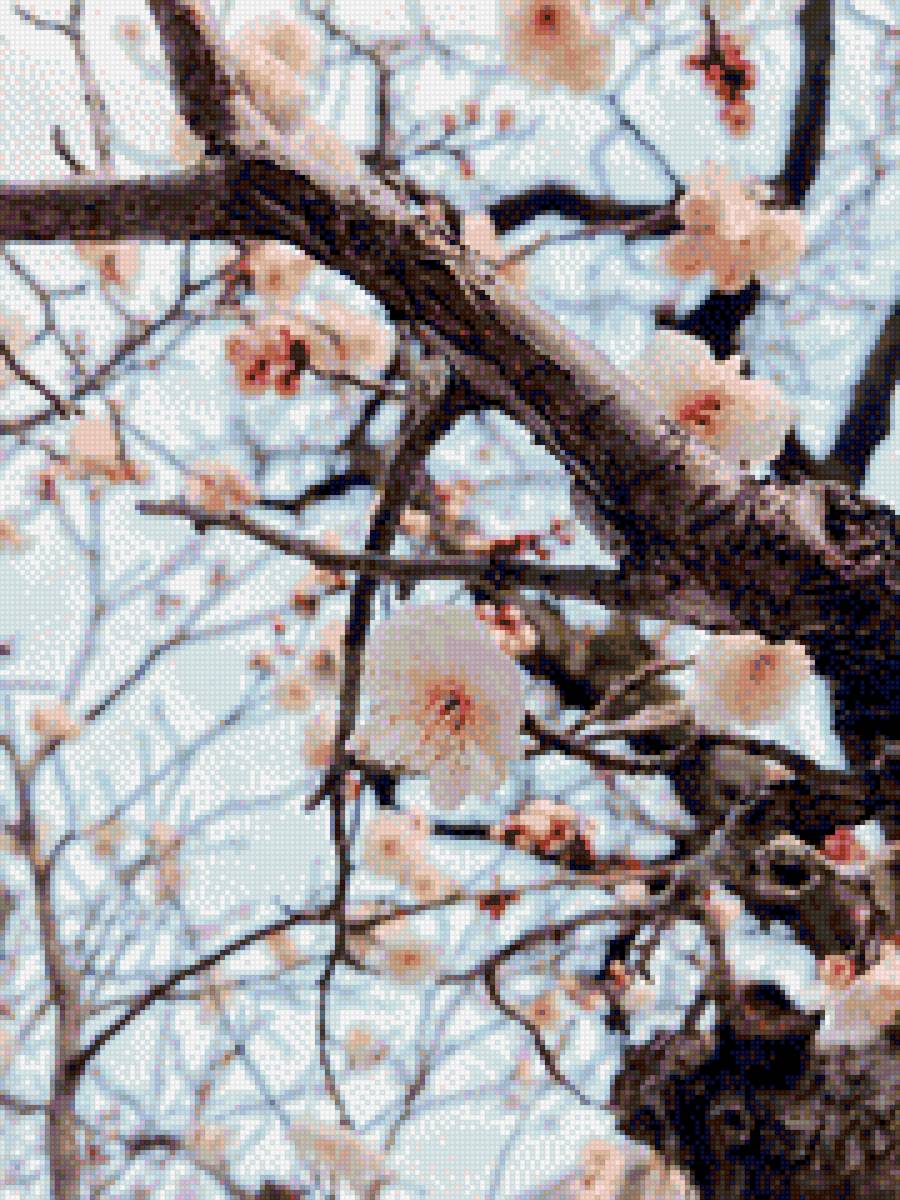 Ledinjnam - ledinjnam - предпросмотр