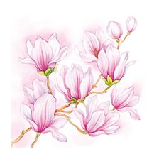 Схема вышивки «магнолии»