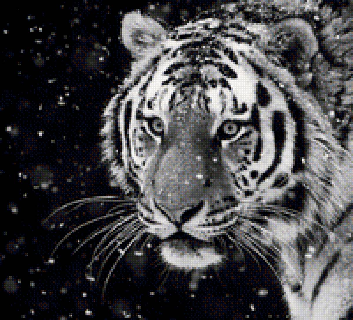 тигр - большая кошка, тигр, животное - предпросмотр